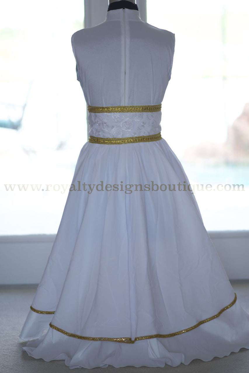 Eva Overlay Chiffon Skirt with Gold Trim – Custom Chiffon Colors Available - Must Popular