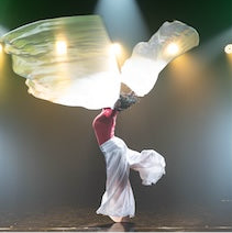 Wide Leg Palazzo Satin Pants – Kingdom Covenant Collection