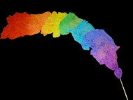 Covenant  Multicolor Throw Streamer for Praise Dance